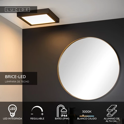 Lucide BRICE-LED - Lámpara de techo Baño - LED Regul. - 1x30W 3000K - IP44 - Negro - USP